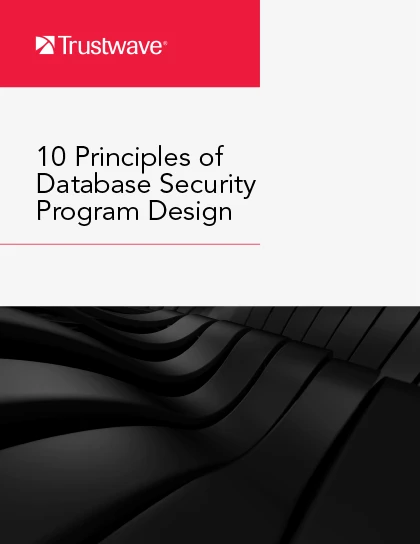 10-principles-of-database-security-program-design-cover