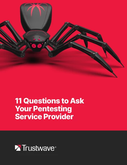11-questions-to-ask-your-pentesting-service-provider-cover