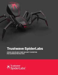 19240_spiderlabs-cyberexpertise-cover