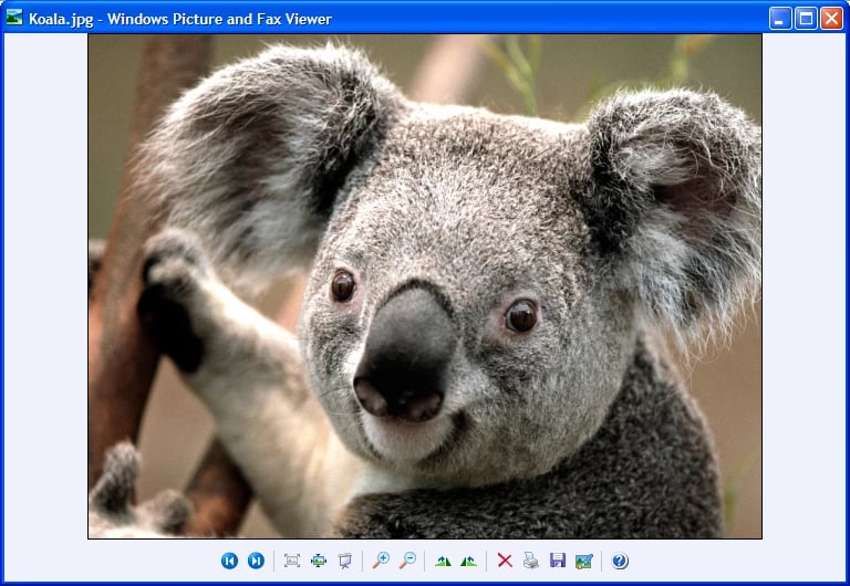 12637_f1efa493-fa84-497d-891e-3adf3647c2ec