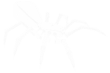 spiderlabs-wire-desktop